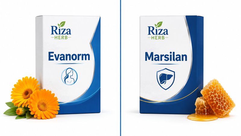 Evanorm и Marsilan — сравнение фитосвечей